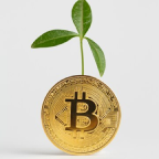 Moeda digital com símbolo de Bitcoin e uma planta, representando criptomoeda sustentável.